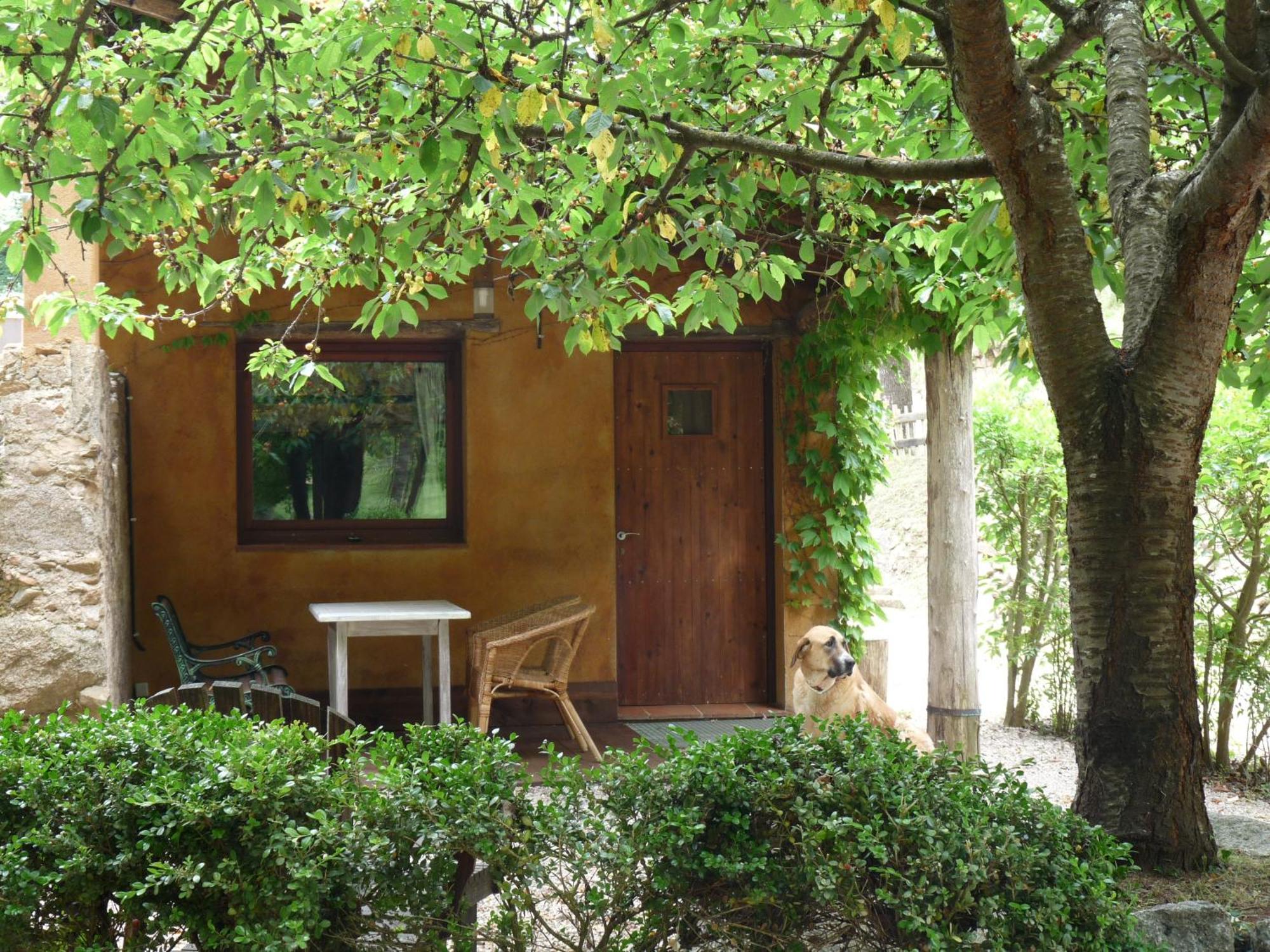 Masia El Moli De Can Aulet Arbúcies Esterno foto