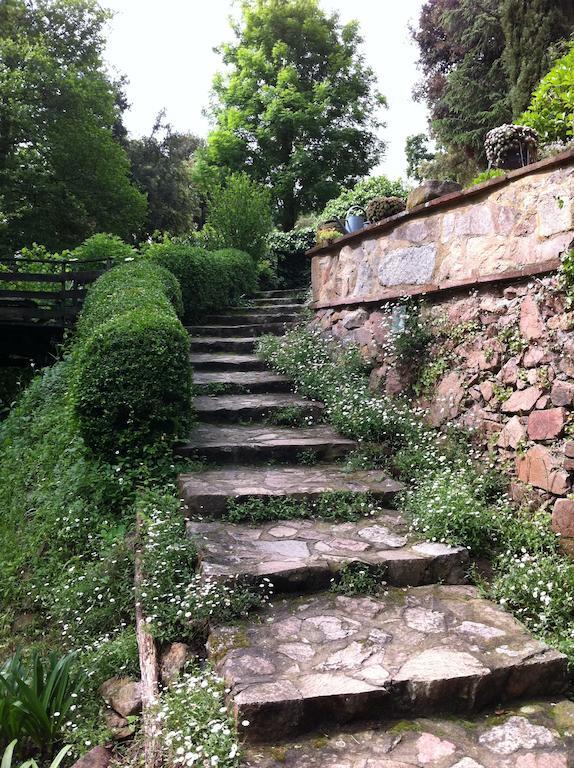 Masia El Moli De Can Aulet Arbúcies Esterno foto