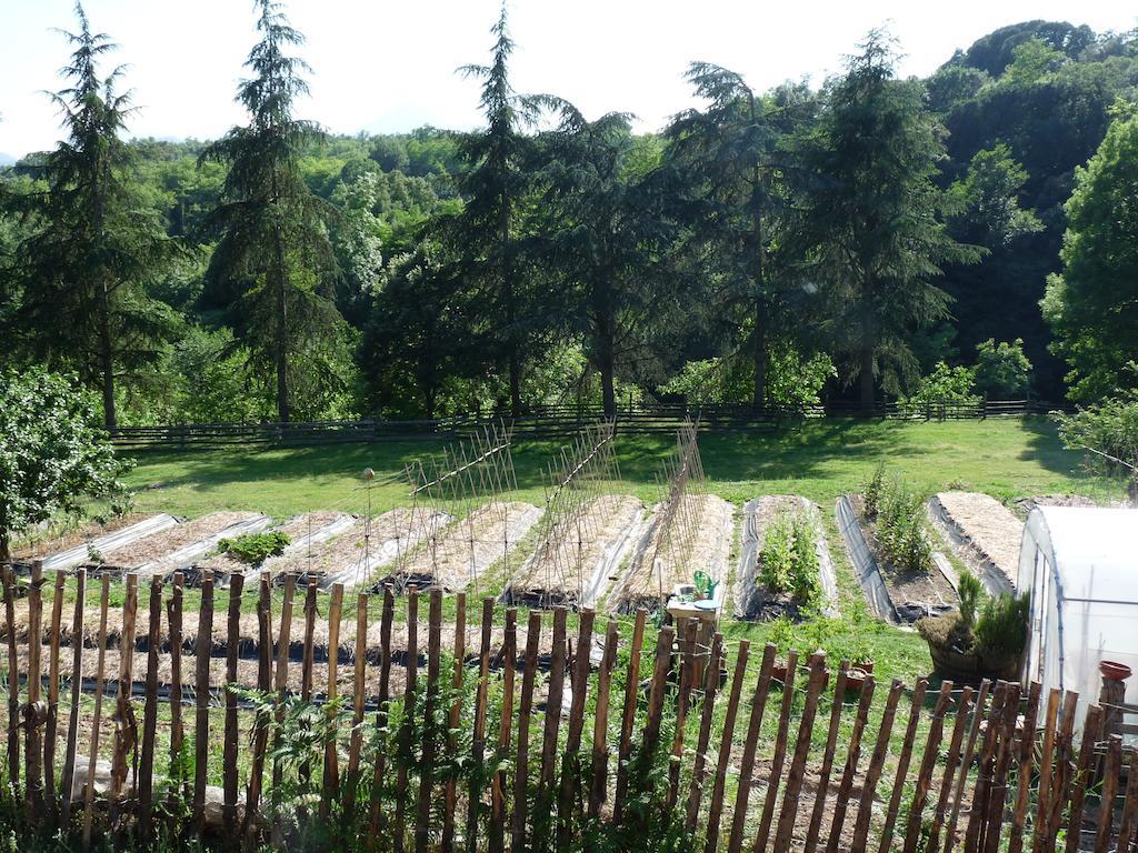 Masia El Moli De Can Aulet Arbúcies Esterno foto