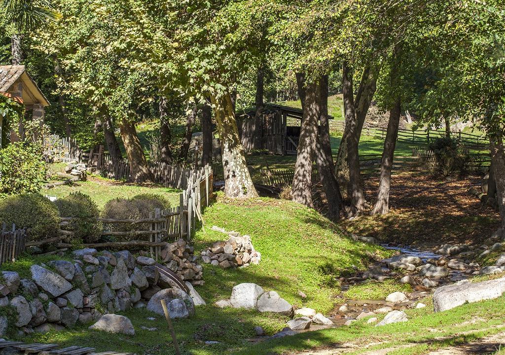 Masia El Moli De Can Aulet Arbúcies Esterno foto