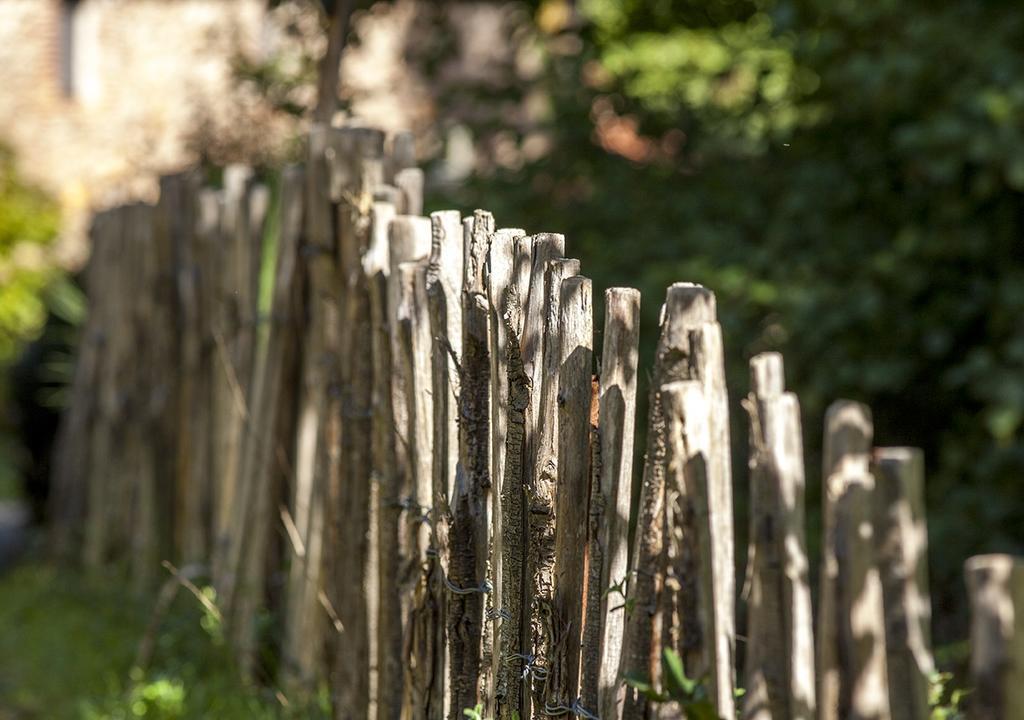 Masia El Moli De Can Aulet Arbúcies Esterno foto